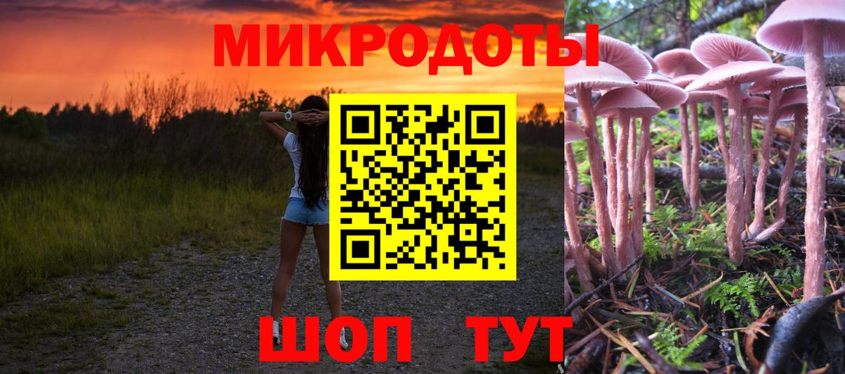 Галлюциногенные грибы прущие грибы  как найти наркотики  Вход с VPN  Видное  Псилоцибиновые грибы Magic Shrooms 